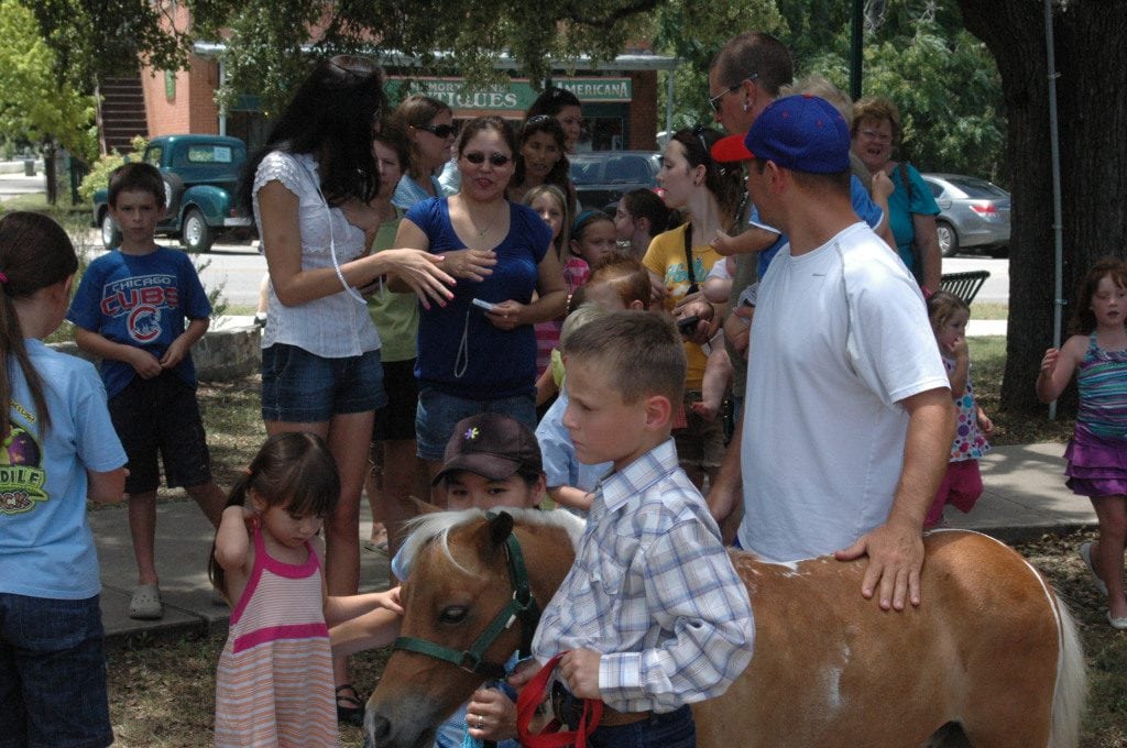 miniature horses at library