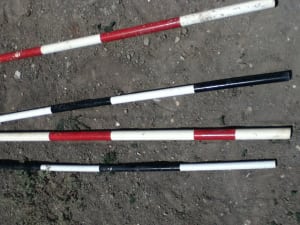 miniature horse obstacle poles