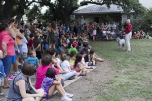 miniature horse at library