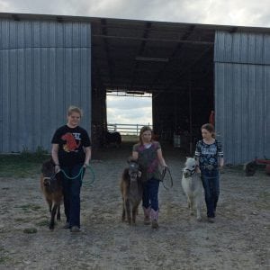 Thursday Kids practicing showmanship