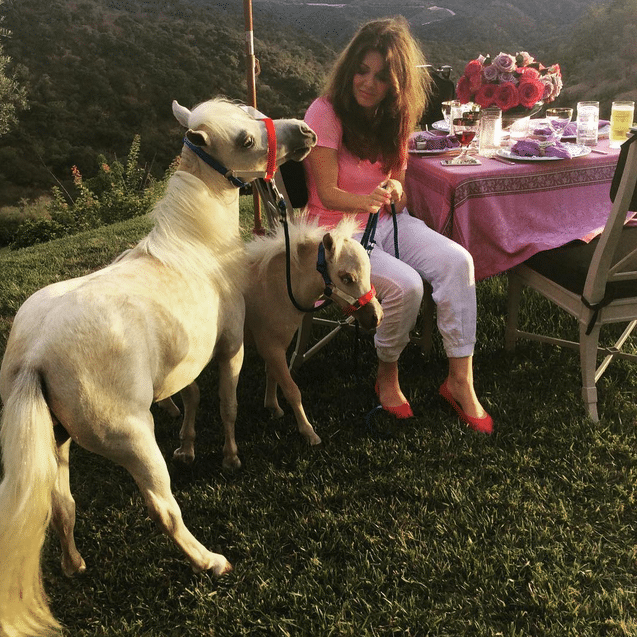 Lisa Vanderpump miniature horses