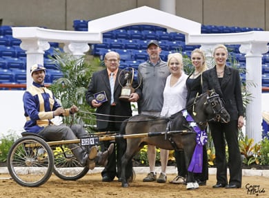 Guinness roadster miniature horse