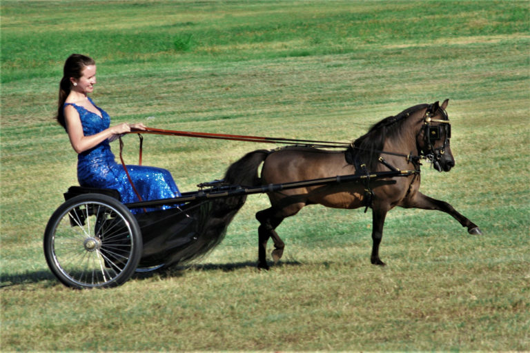 Lauren Greaves and Lymrick's Irresistible Force, "Guinness"