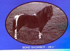 Bond Showboy Image