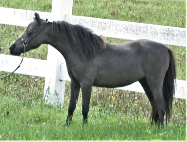 Little America’s Secret’s Ms. Choctaw